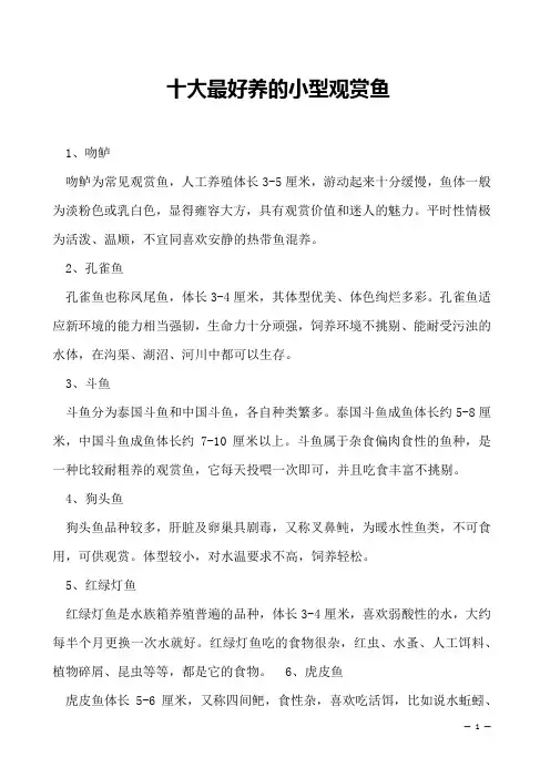 十大最好养的小型观赏鱼