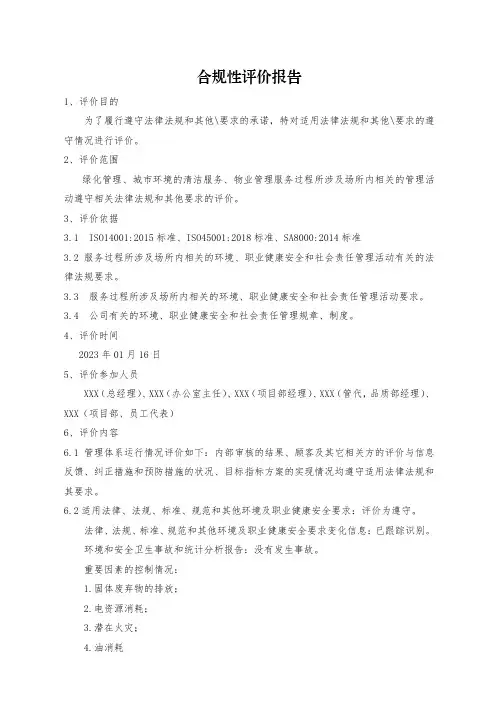 合规性评价报告