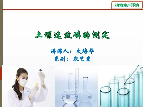 土壤速效磷的测定资料