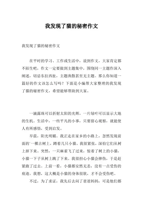 我发现了猫的秘密作文