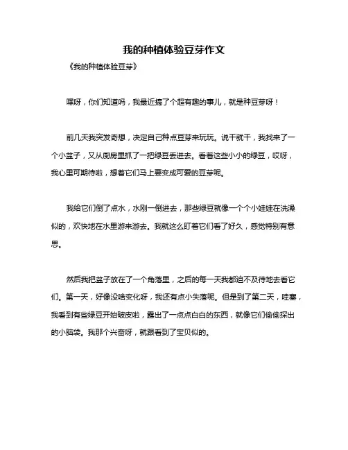 我的种植体验豆芽作文