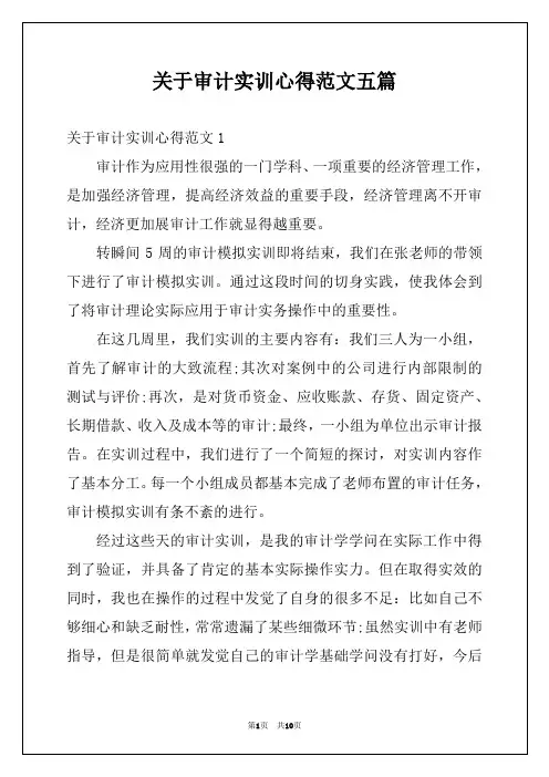 关于审计实训心得范文五篇