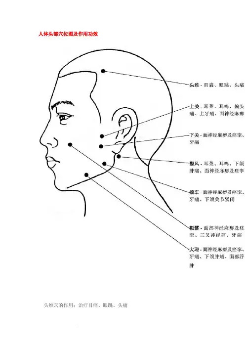 人体穴位作用图解大全