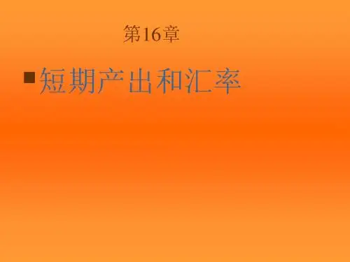国际经济学第16章-PPT精选文档64页