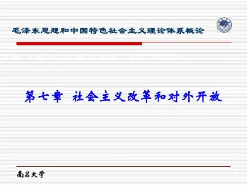 毛概第七章