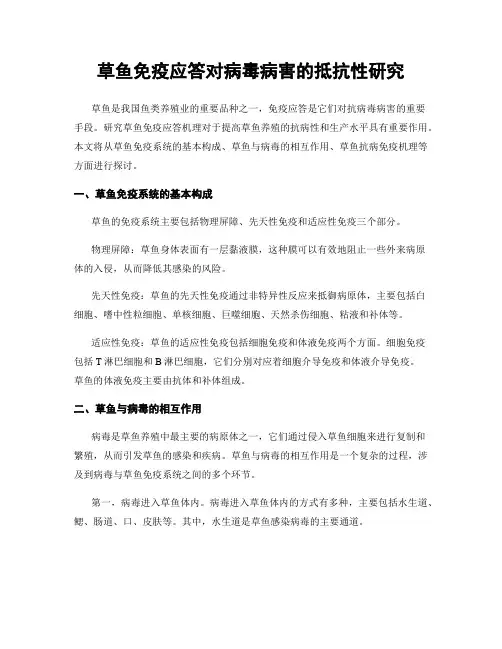 草鱼免疫应答对病毒病害的抵抗性研究