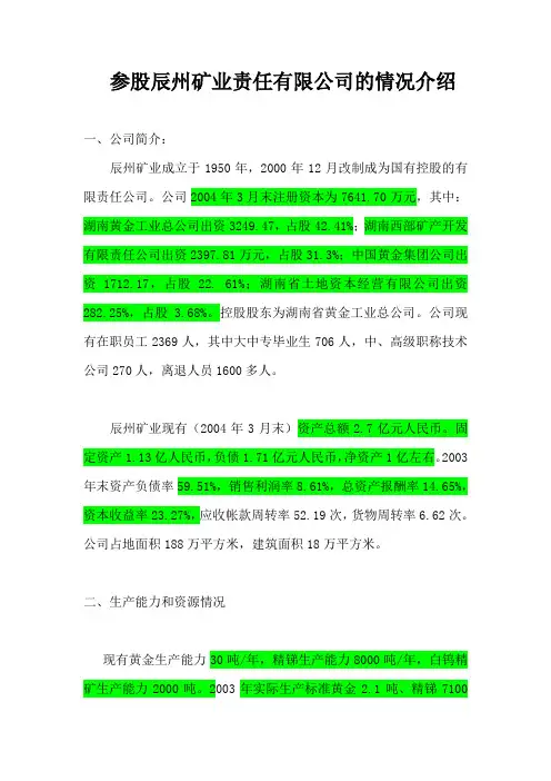 参股辰州矿业责任有限公司的情况介绍.doc