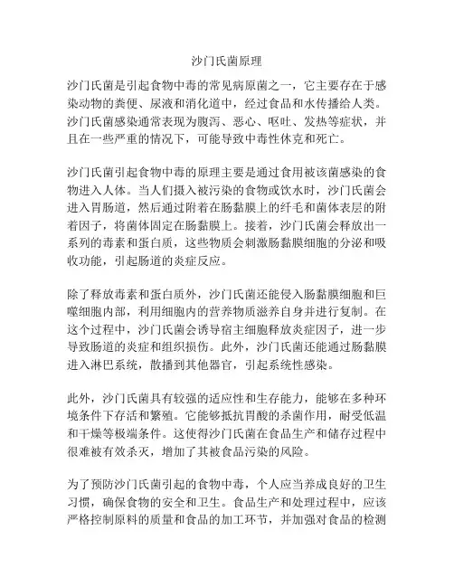 沙门氏菌原理