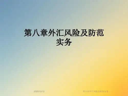 第八章外汇风险及防范实务