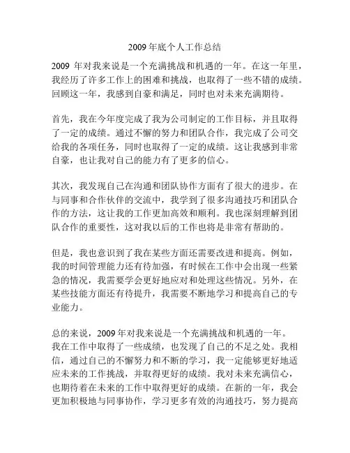 2009年底个人工作总结