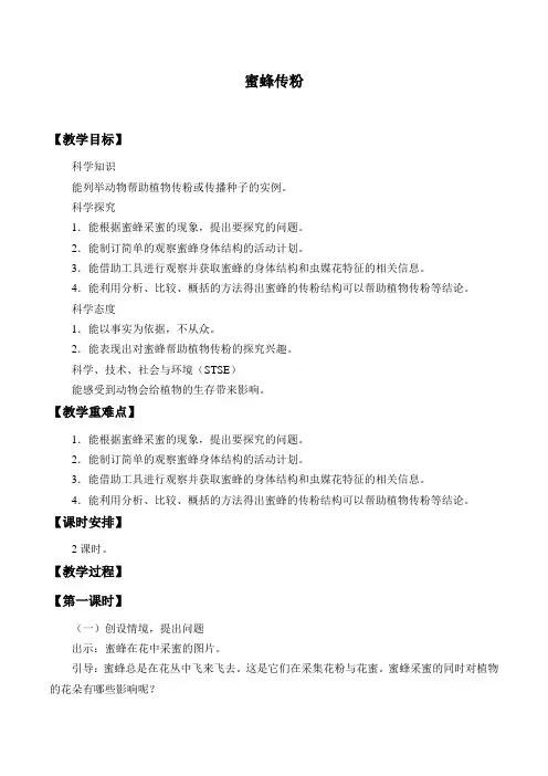 三年级下册科学教案 -10.蜜蜂传粉  冀人版