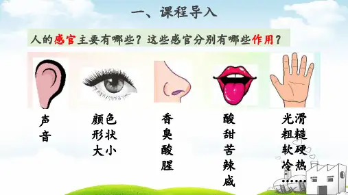 教科版测试反应快慢PPT课件