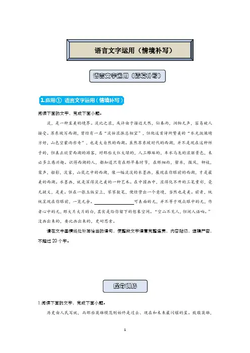 高中语文 (山东省新高考)高三精准培优专练 语言文字运用(情境补写) 含答案