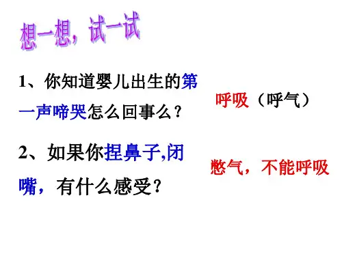 人教版七年级生物下册第三章人体的呼吸PPT课件
