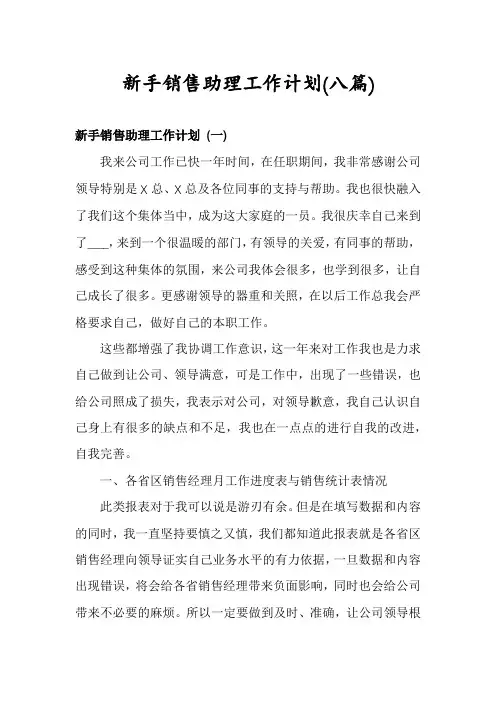 新手销售助理工作计划(八篇)