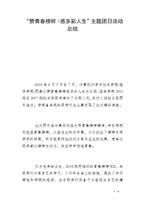“赞青春榜样·感多彩人生”主题团日活动总结 