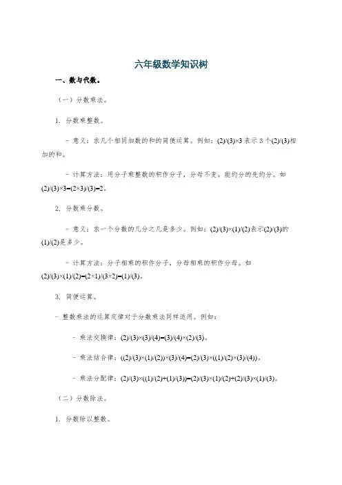 六年级数学知识树