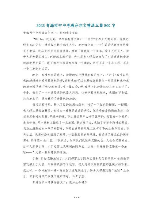 2023青海西宁中考满分作文精选五篇800字