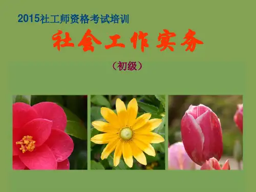 《社会工作实务》PPT课件