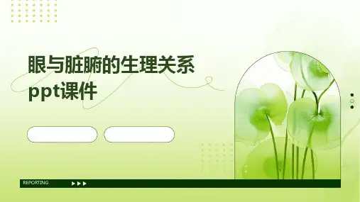 眼与脏腑的生理关系PPT课件