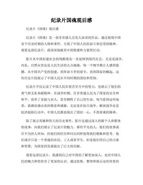 纪录片国魂观后感