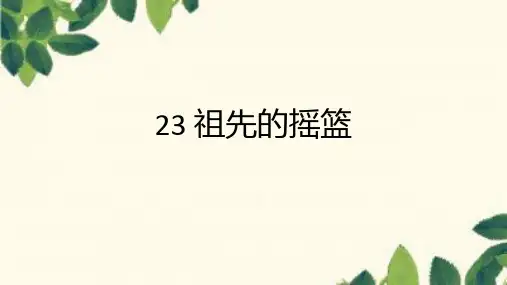 二年级语文下册23祖先的摇篮课件(共32张PPT)