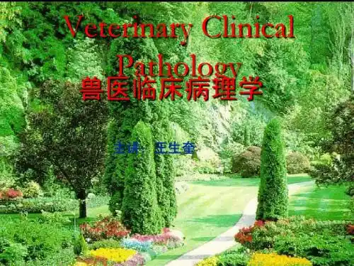 兽医临床病理学