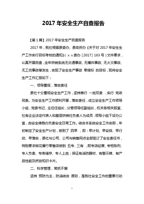 2017年安全生产自查报告