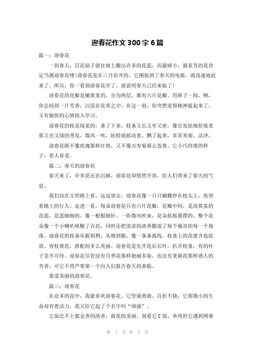 迎春花作文300字6篇