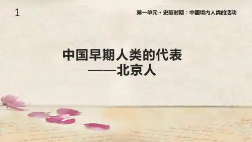 人教版七年级历史上册1《中国早期人类的代表——北京人》课件精