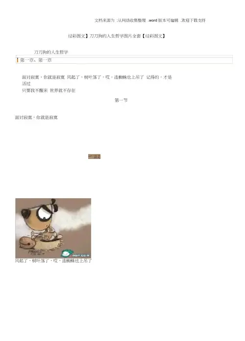 刀刀狗的人生哲学图片全套