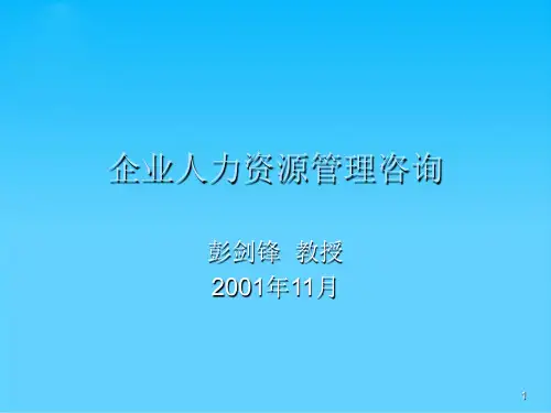 现代企业人力资源管理咨询报告(ppt 15页)