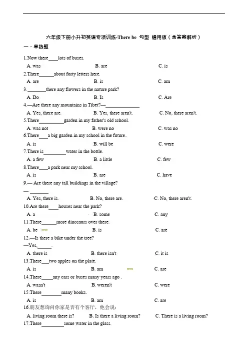 六年级下册英语试题-小升初英语专项训练 There be 句型通用版(含答案解析)