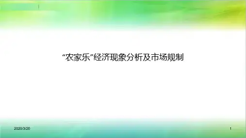 农家乐经济分析及市场规制PPT课件