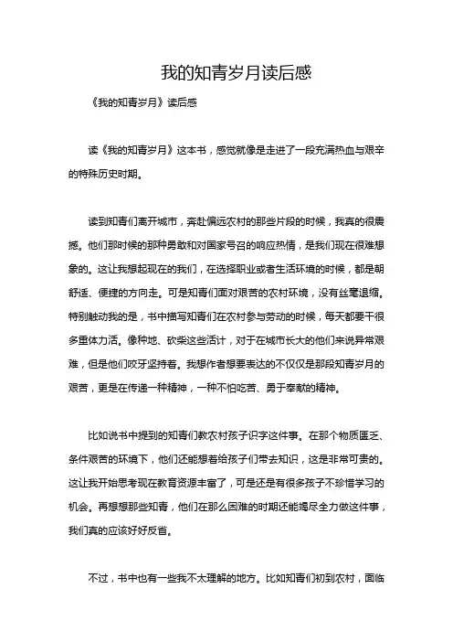 我的知青岁月读后感