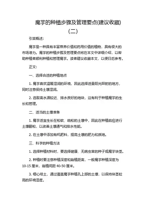 魔芋的种植步骤及管理要点(建议收藏)(二)
