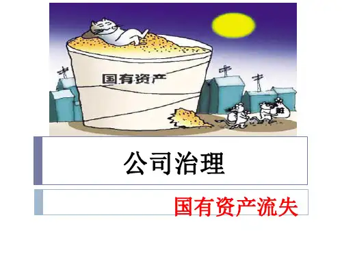 国有资产流失