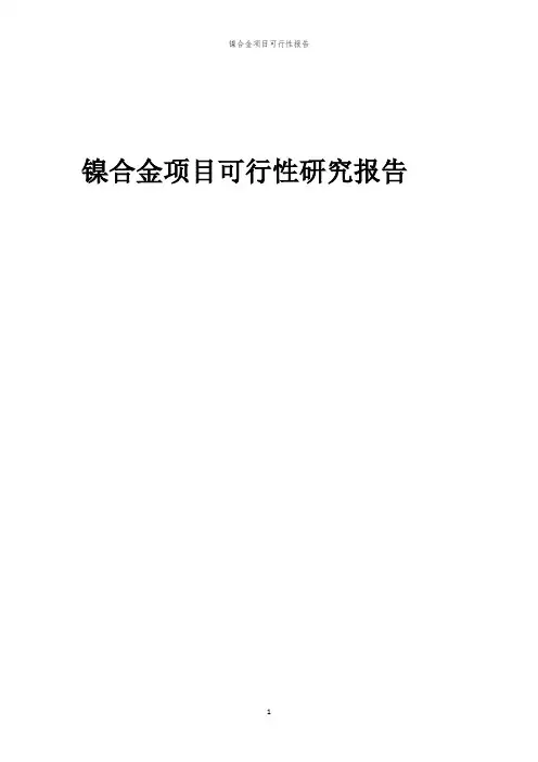 镍合金项目可行性报告