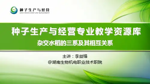 杂交水稻的三系及其相互关系