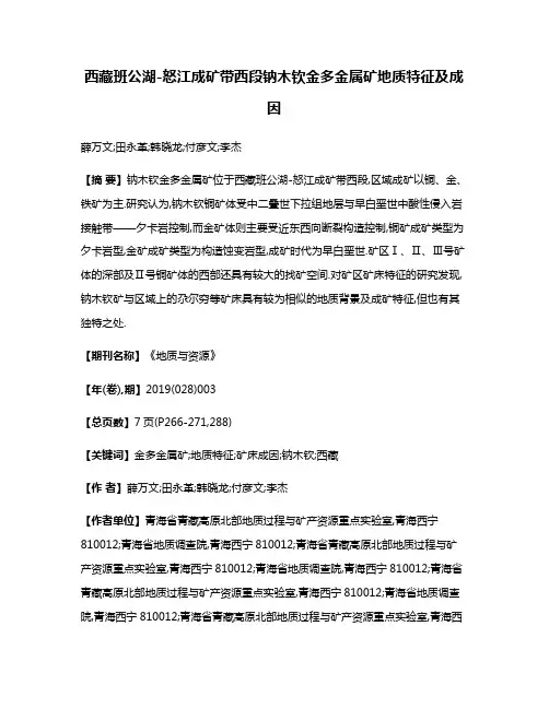 西藏班公湖-怒江成矿带西段钠木钦金多金属矿地质特征及成因
