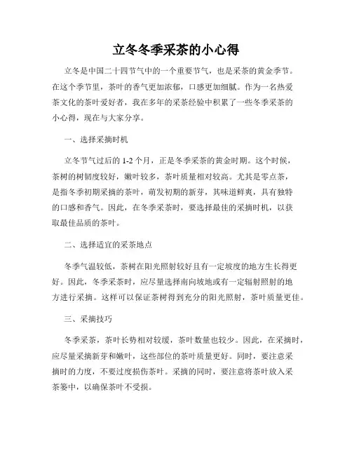 立冬冬季采茶的小心得