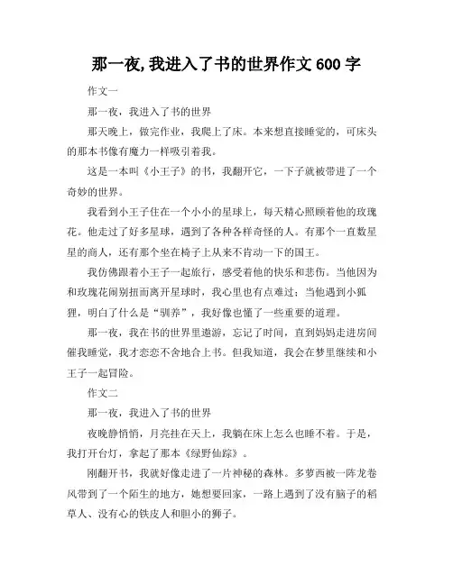 那一夜,我进入了书的世界作文600字