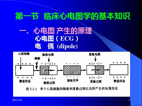 ECG(electrocardiogram)_PPT幻灯片