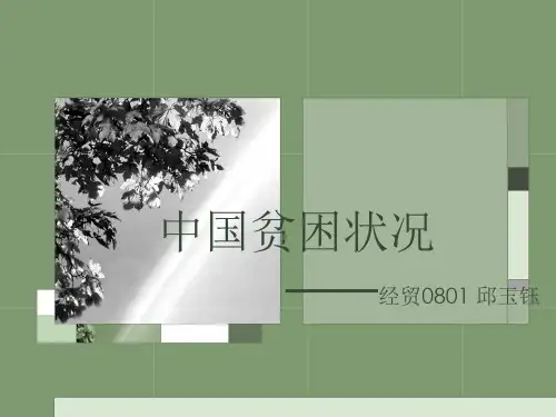 中国贫困状况 优质课件