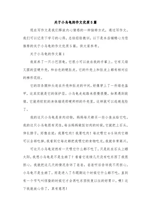 关于小乌龟的作文优质5篇