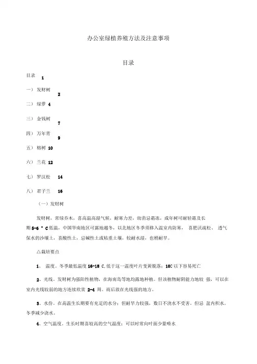 办公室绿植养殖方法及注意事项
