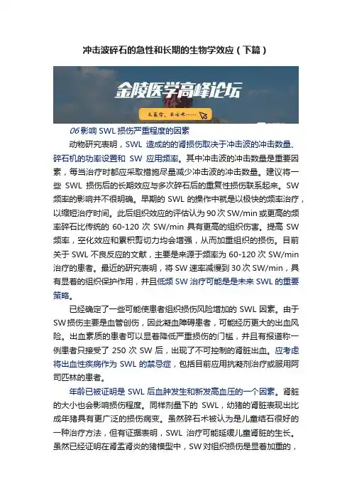 冲击波碎石的急性和长期的生物学效应（下篇）