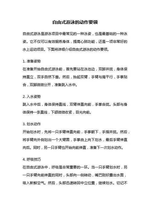 自由式游泳的动作要领