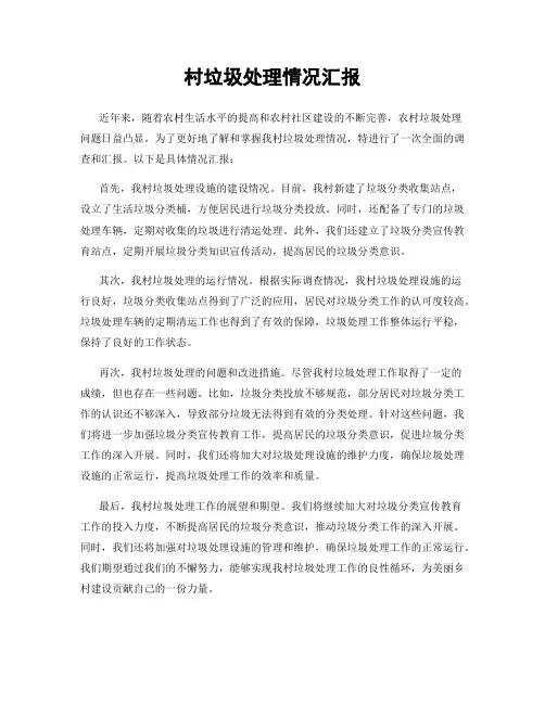 村垃圾处理情况汇报