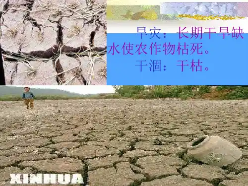 旱灾长期干旱缺水使农作物枯死优选PPT